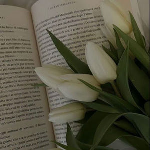 Meet your Posher, Gabriela